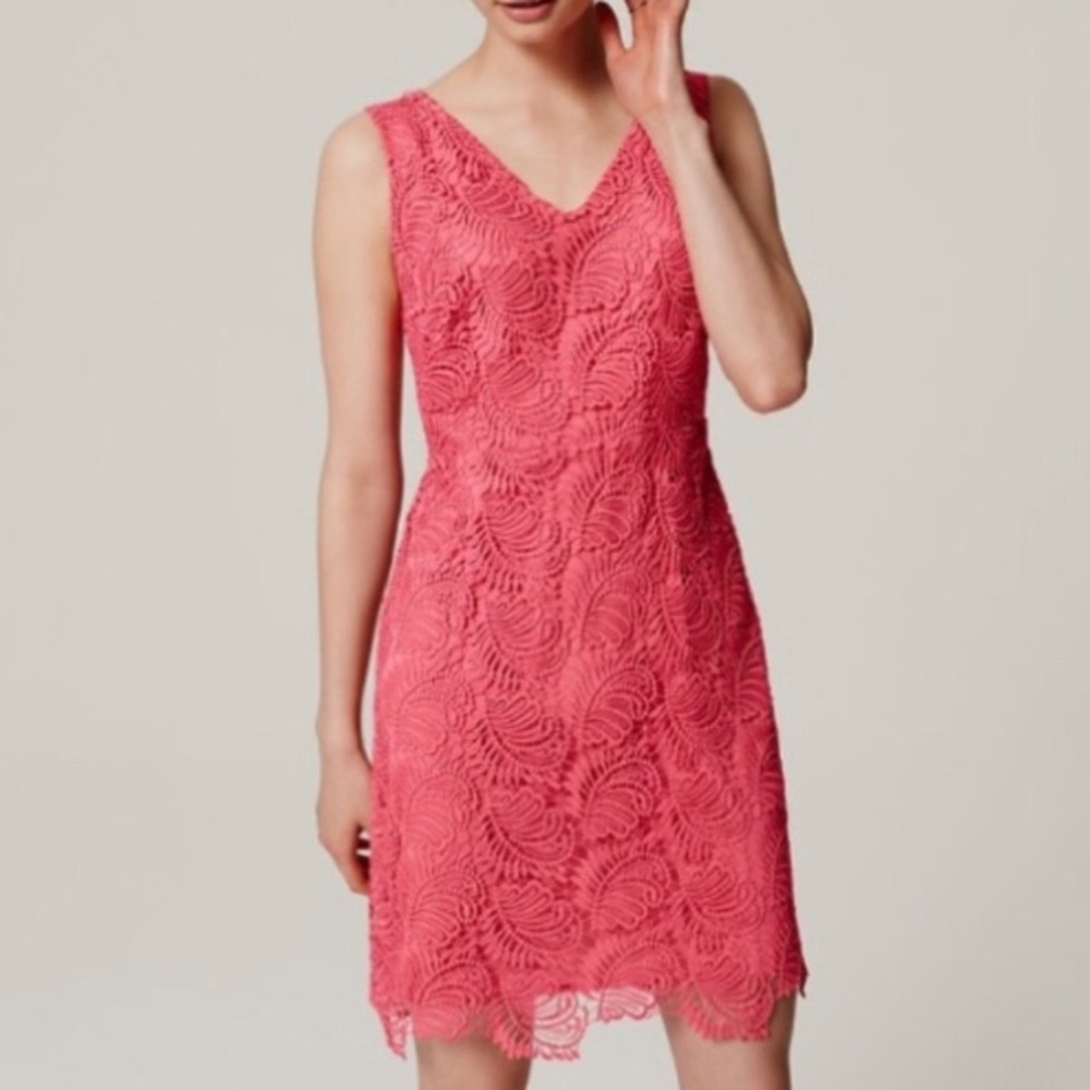 LOFT pink lace dress NWT